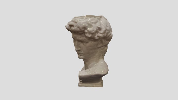 David by Michelangelo 3D Model