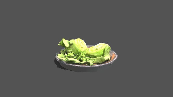lettuce 3D Model