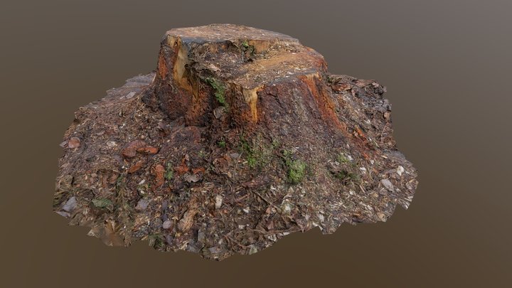 Trunk 2 3D Model