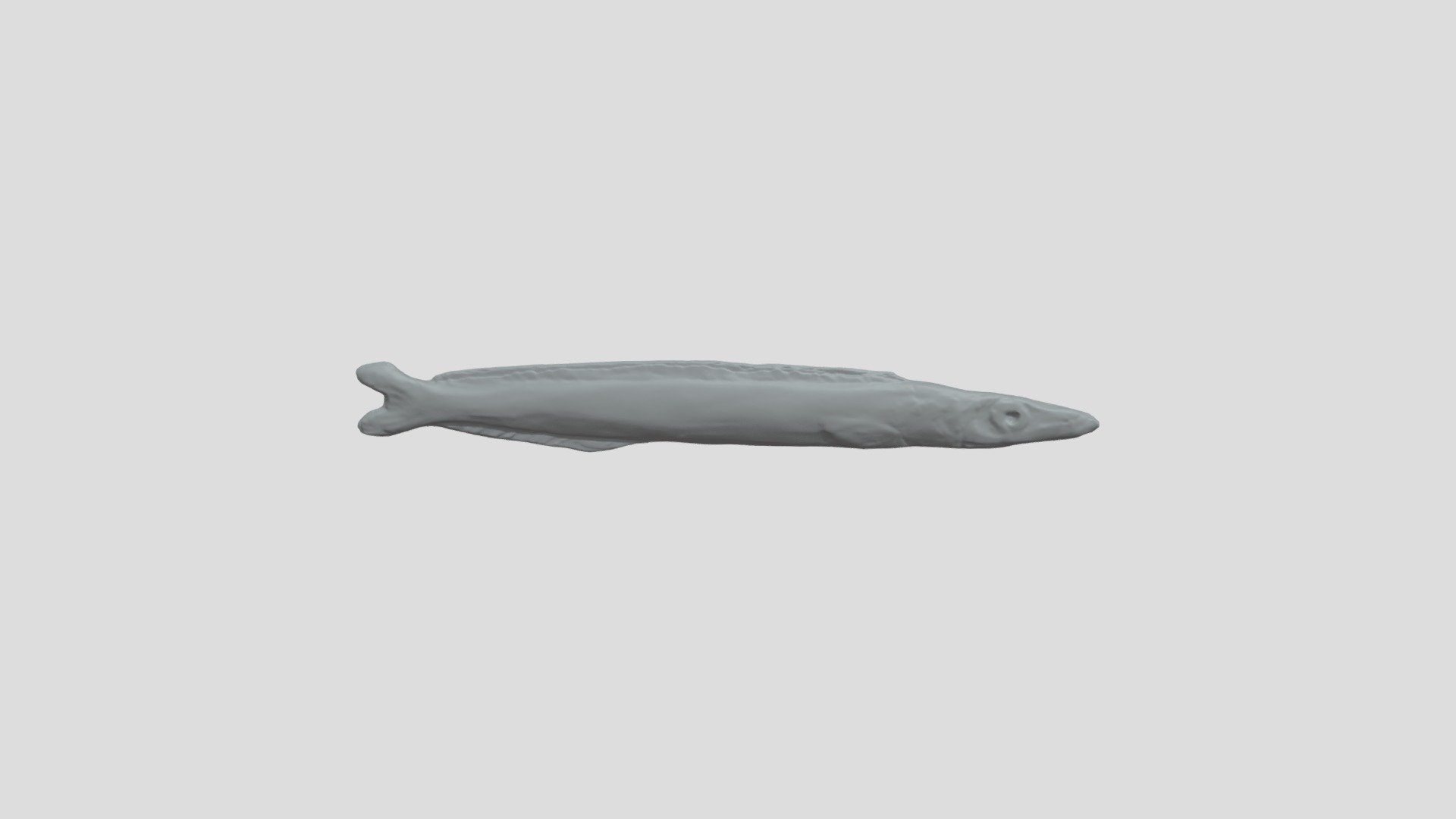 Sand Eel - 3D model by Chapel_Prints_CO (@McKie_Foundation) [c7d96b9 ...
