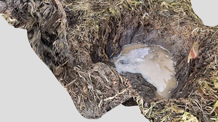 Soil pit 1 3D Model