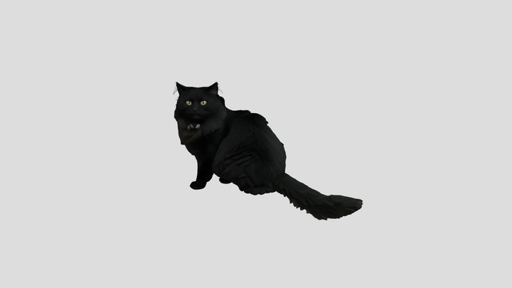 Nyx Cat 3D Model