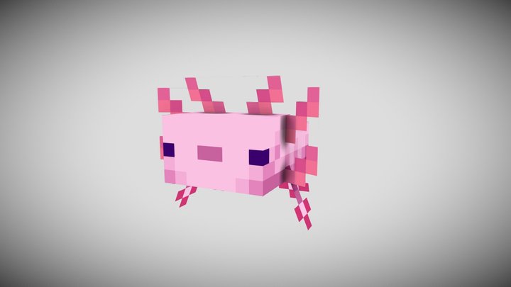 Axolotl Hat 3D Model