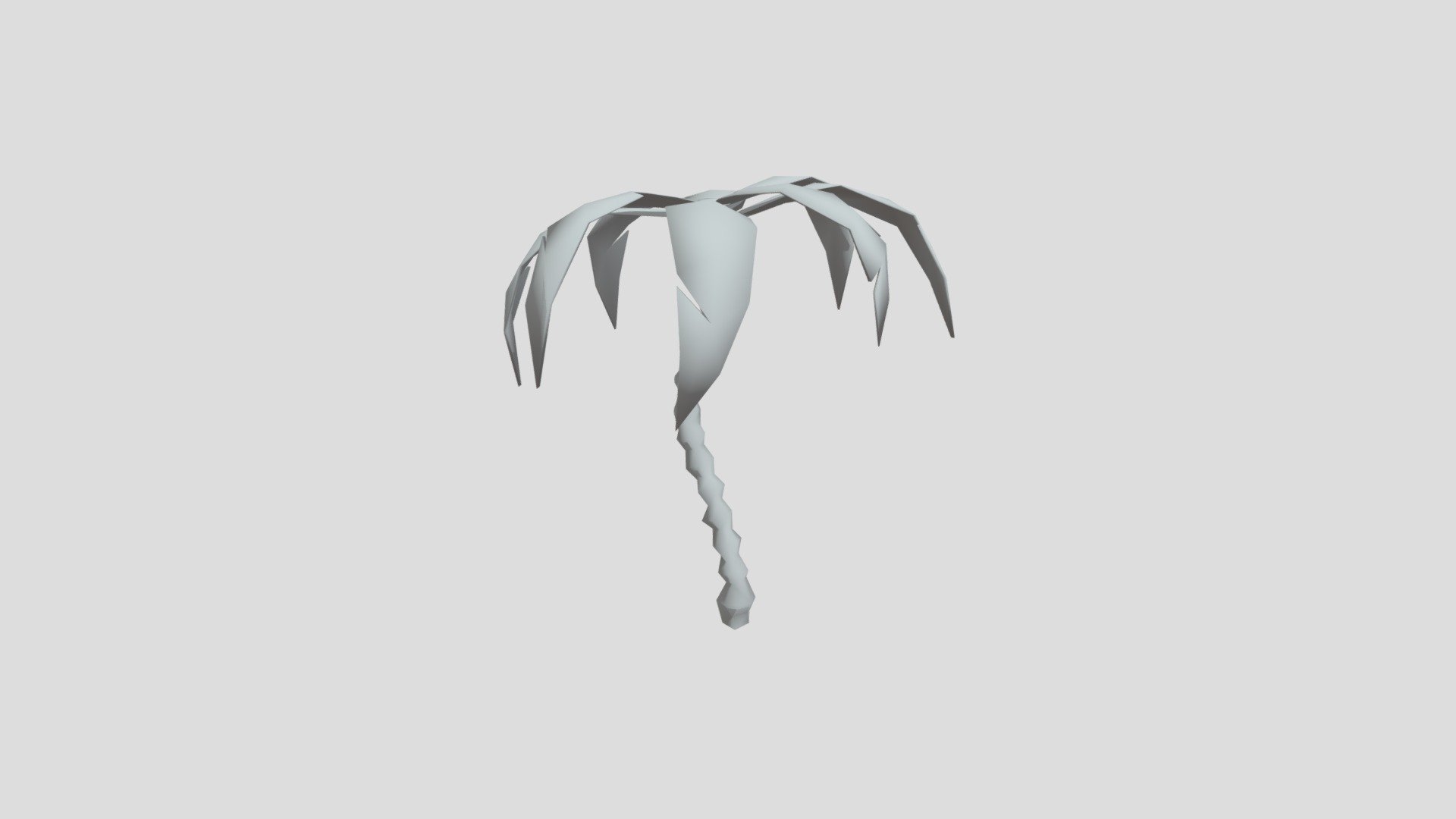 Palm Tree