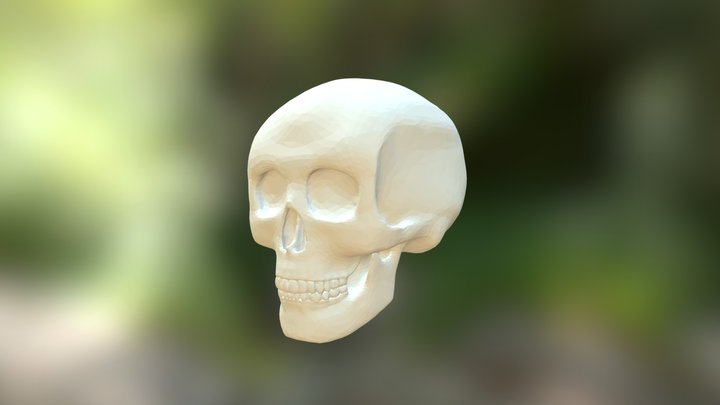 Skullpture 3D Model