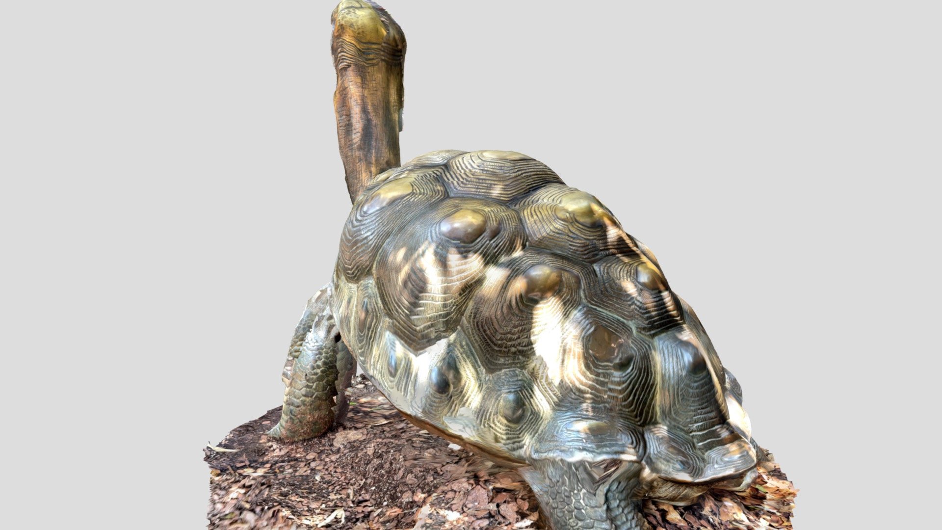 Brass tortoise