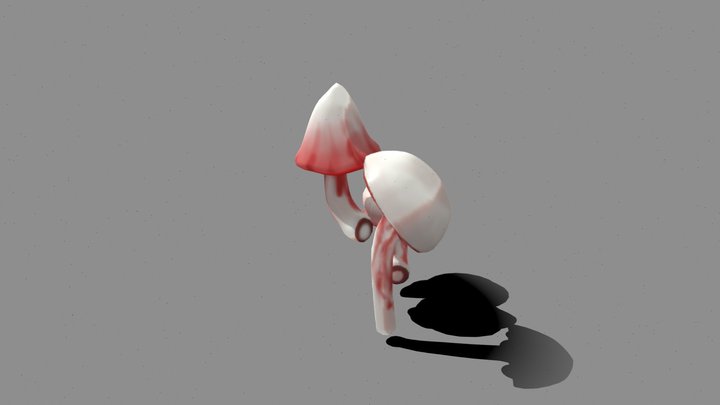 Fleshy Mushrooms 3D Model