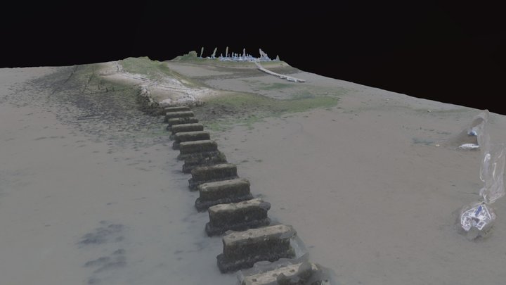 LSC Survey 30 08 18 Simplified 3d Mesh 3D Model