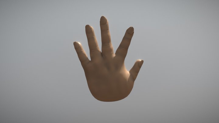 手部練習 3D Model