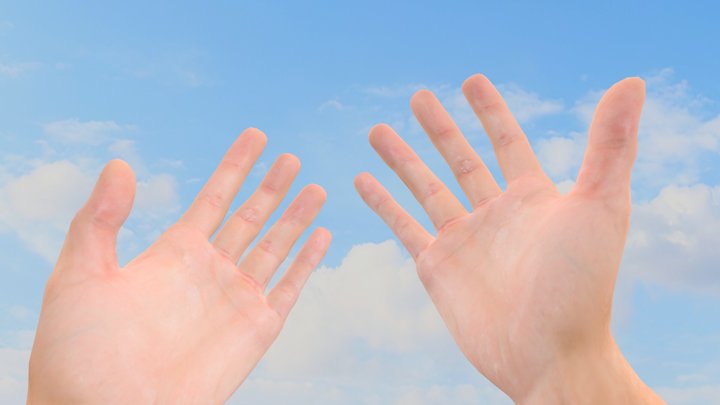 Fists (2025) | First Person Animations 3D Model