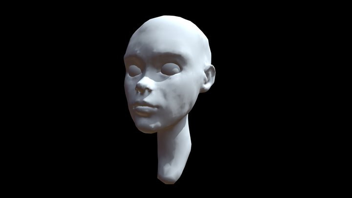 3D practice - head sculpt 3D Model