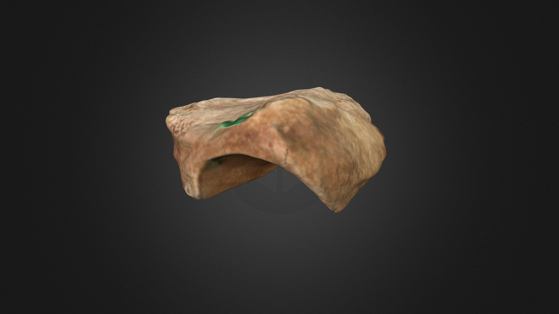 Hueso 2 - Tarsal OK