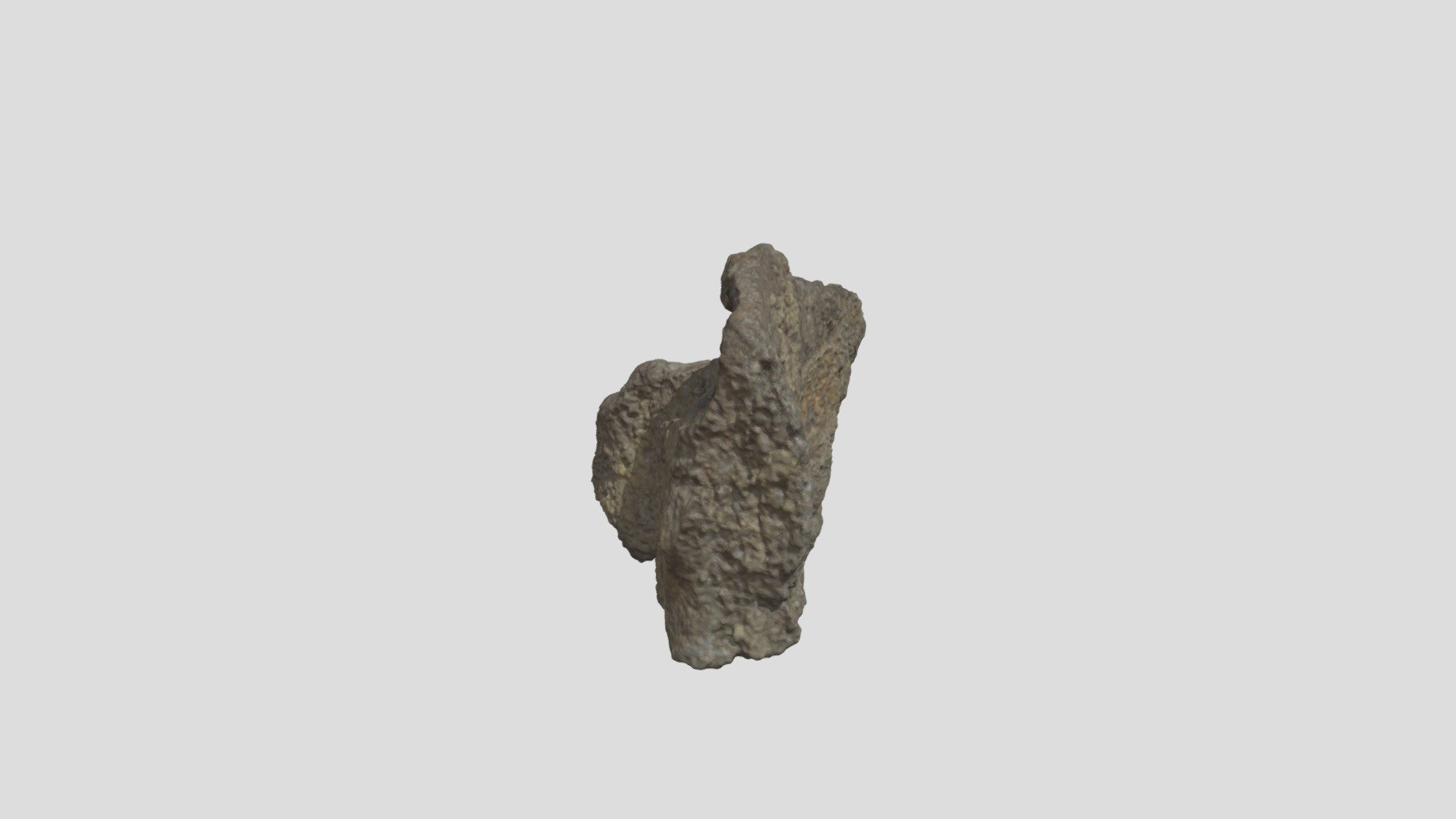 Maxilla fragment