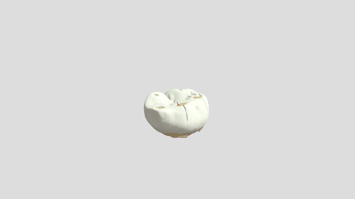 Grotte di Pradis -  Dente da latte 3D Model