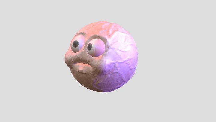 FACE 3D Model