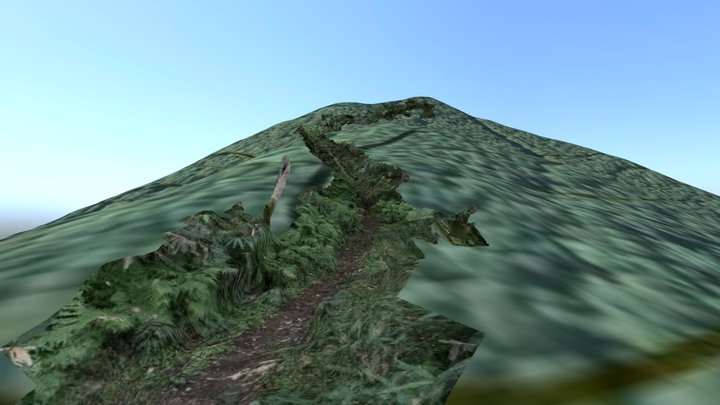 5-1 黒岳三合目～五合目(3/6) 2025.8 – Free 3D Model STL