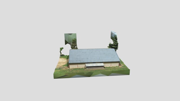 Costeplane 3D Model