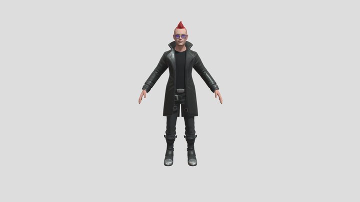 Punk 3D Model