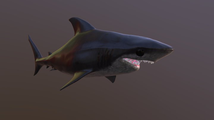 Friendly Shark 3D Model