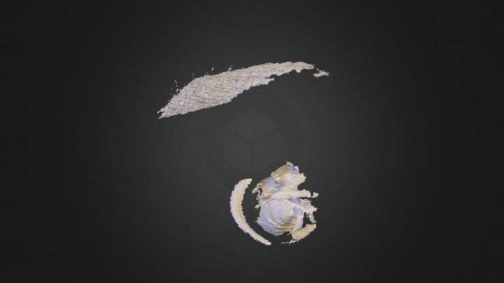 Bautista 3D Model
