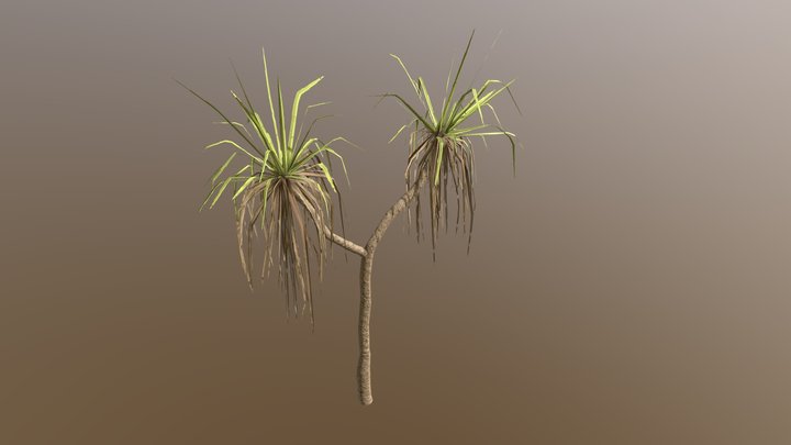 pandanus_blockout_V2_0_NEW TEXTURES 3D Model