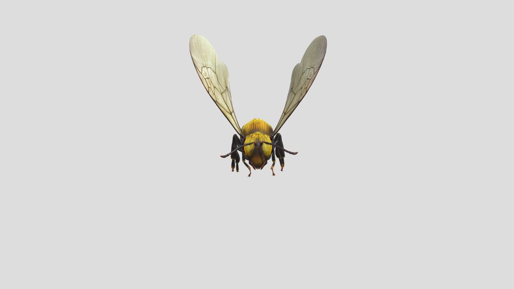 Bee
