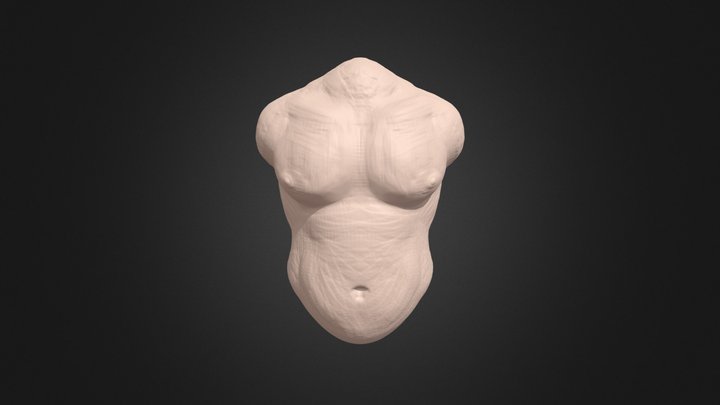 bod "sketch" 3D Model