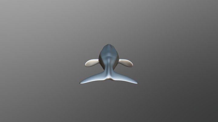 Whale 3D Model