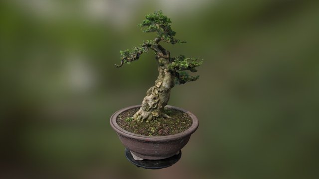 B1 3D Model