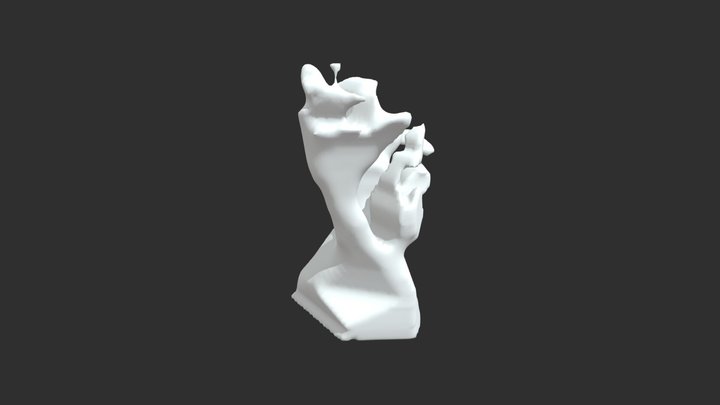 Hands Sculpture 2 3D Model