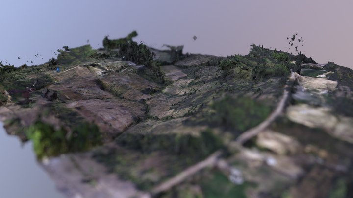 Plosorejo 3D 3D Model