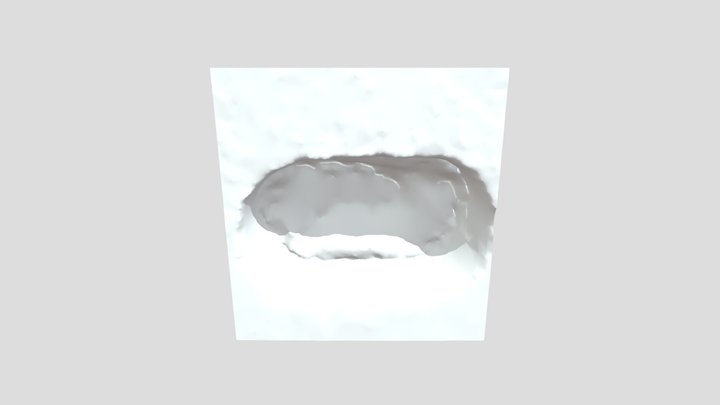 First time scan 3D Model