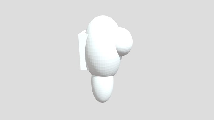 Sus 3D Model