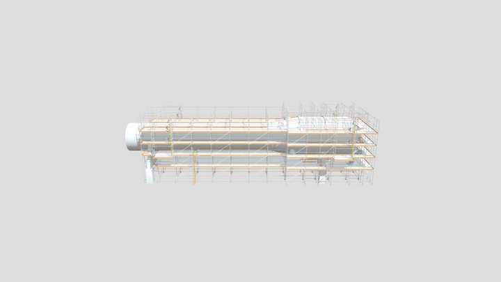 Scaffold External Vessel 3D Model