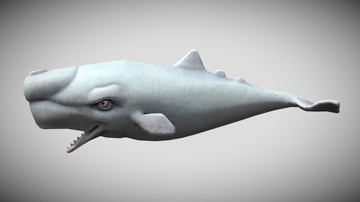 HSE Moby Dick
