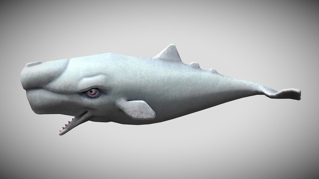 HSE Moby Dick