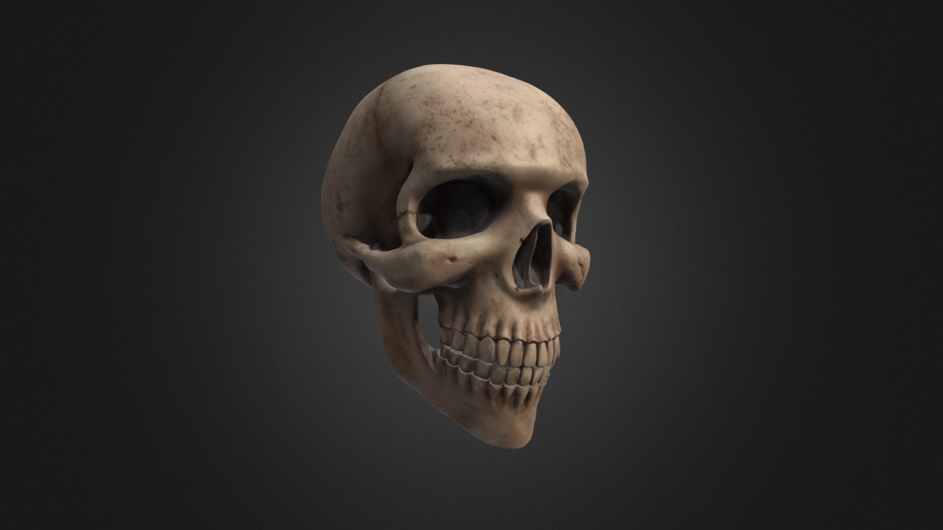 Skull