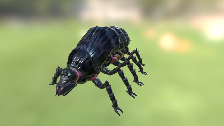 Beetle 3D Model