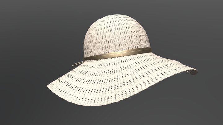 Hat3 3D Model