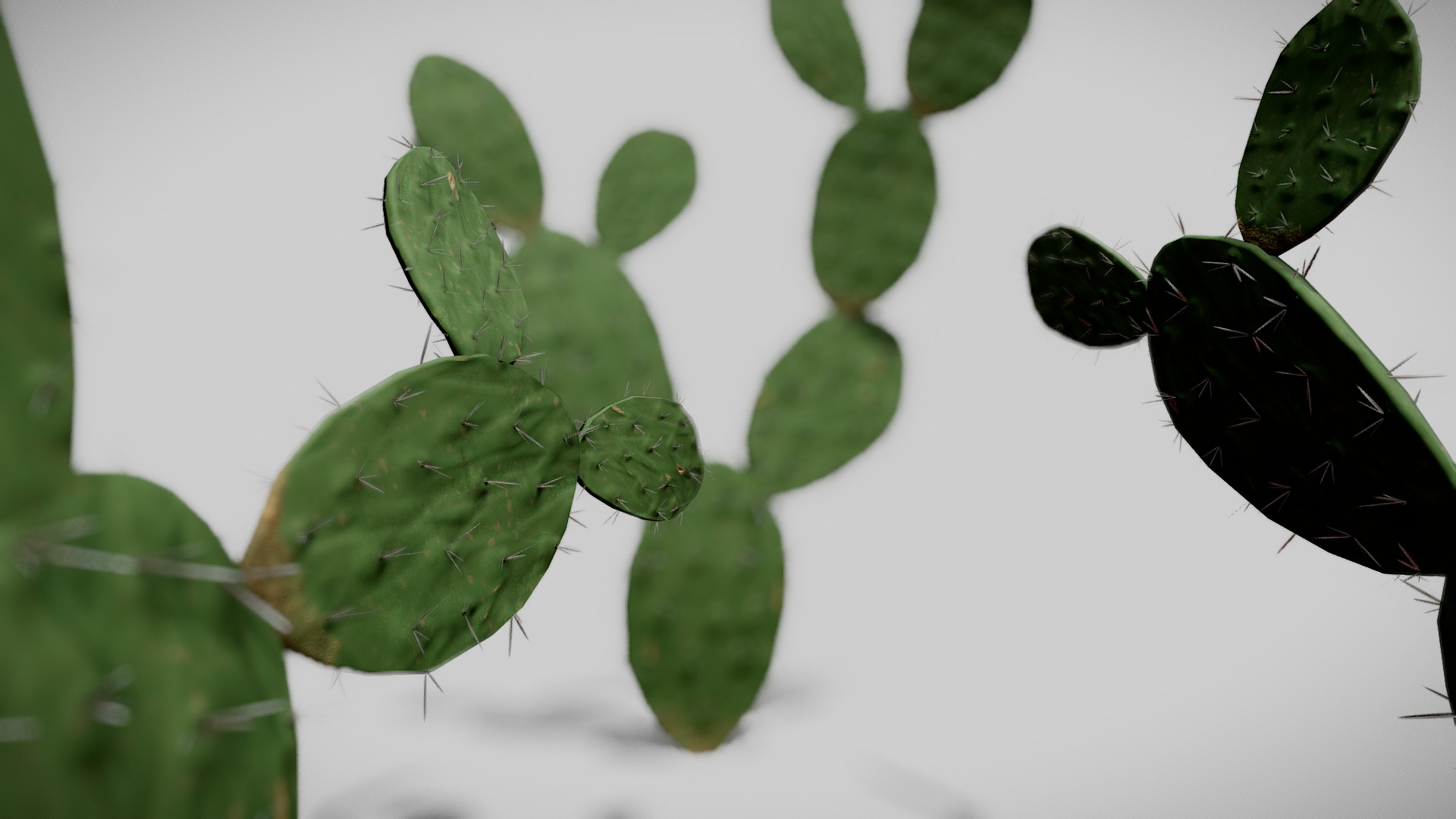 3D model Nopal - This is a 3D model of the Nopal. The 3D model is about a couple of butterflies on a leaf.