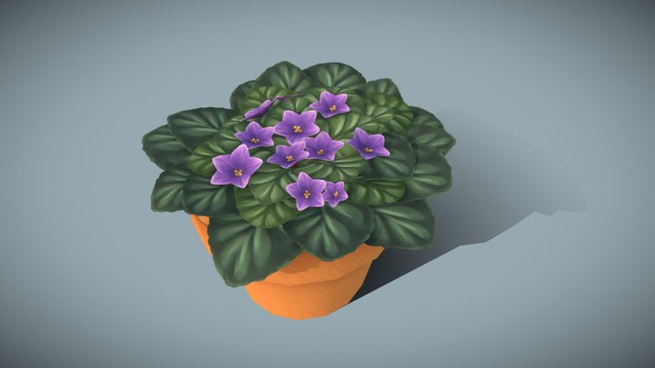 African Violet 3D Model