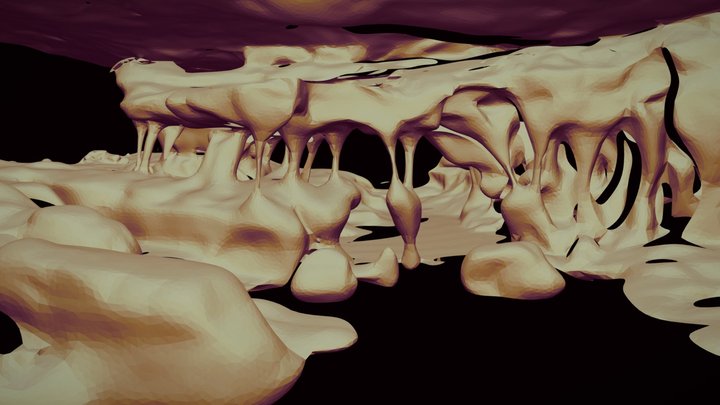 The columns of Imawarì Yeuta - 2 3D Model