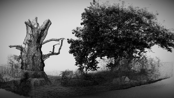 Oaks of Avalon, Glastonbury 3D Model