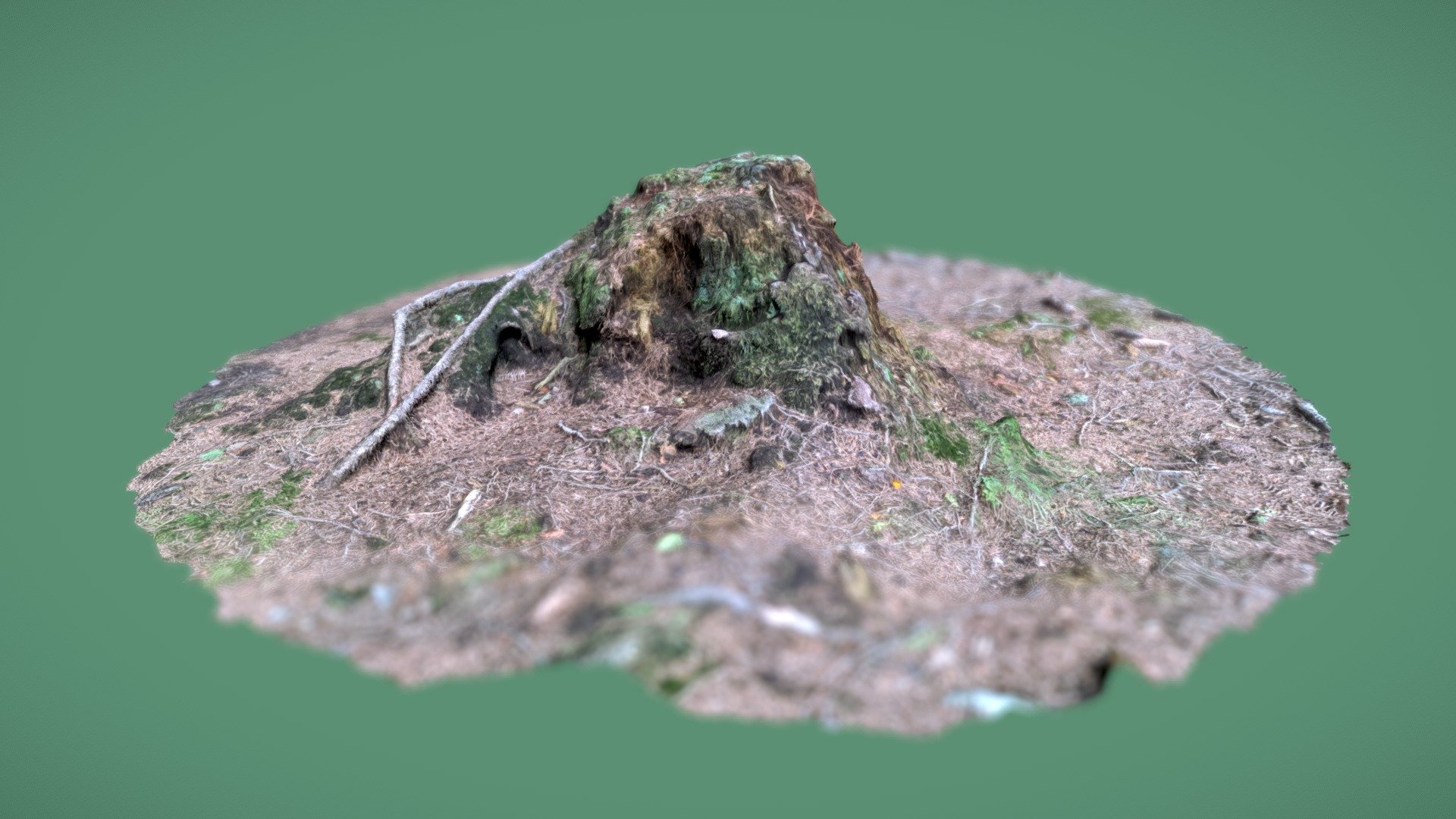 Baumstumpf, tree stump