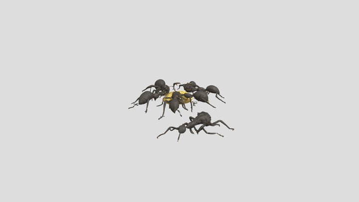 Ants formigues hormigas 3D Model