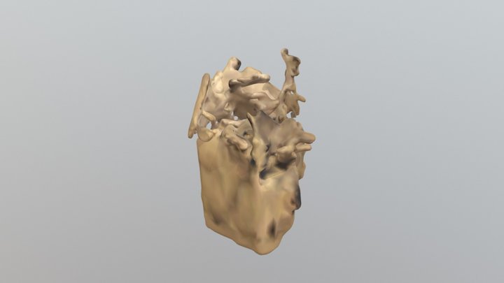Low Detail Version 3D Model