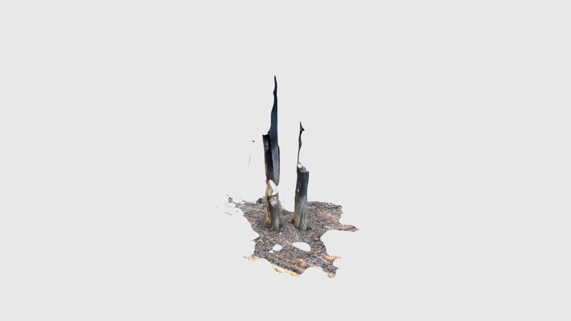 Test1