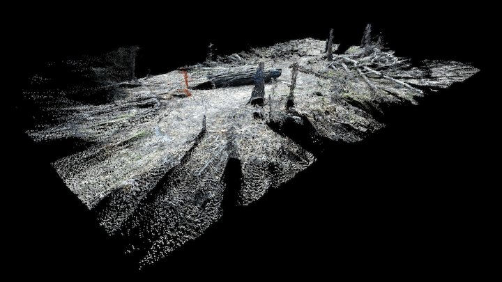Path Cloud 3D Model