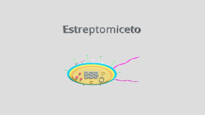Estreptomiceto 3D Model