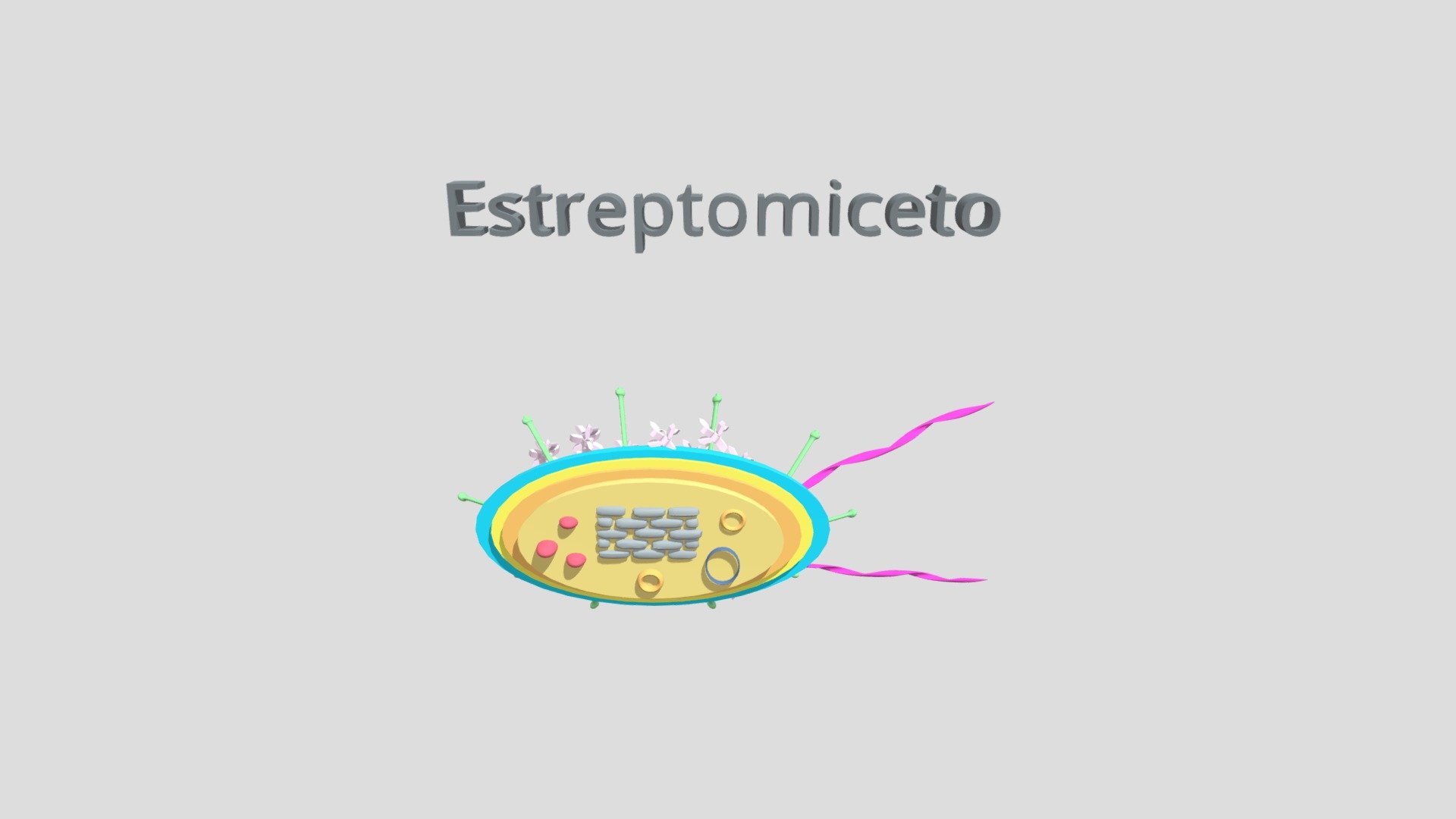 Estreptomiceto